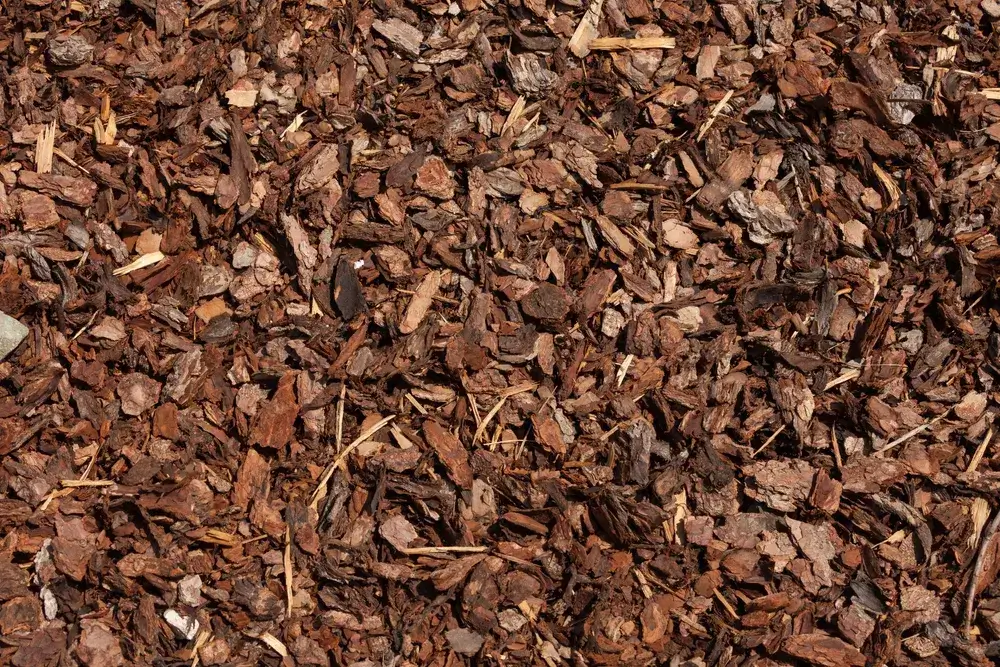 Bark Mulch