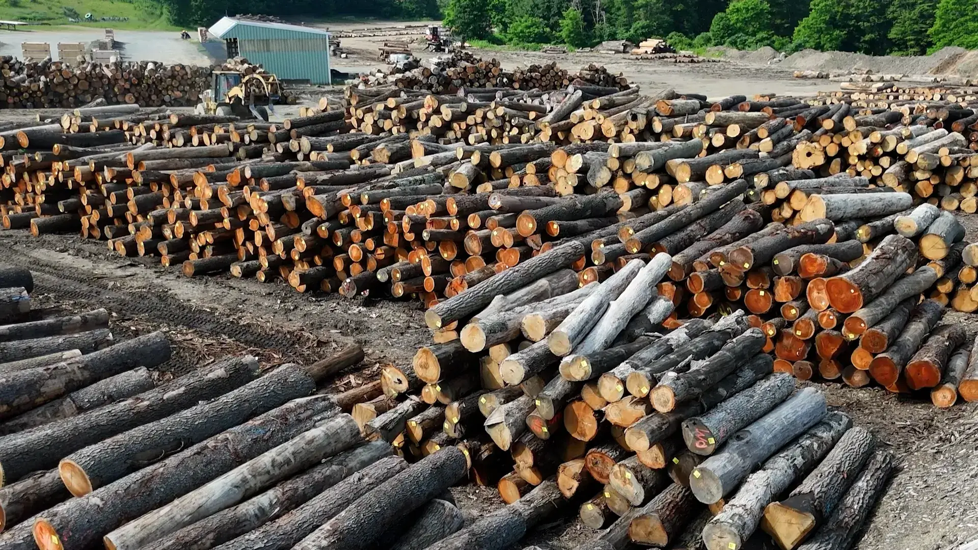 Sawlogs