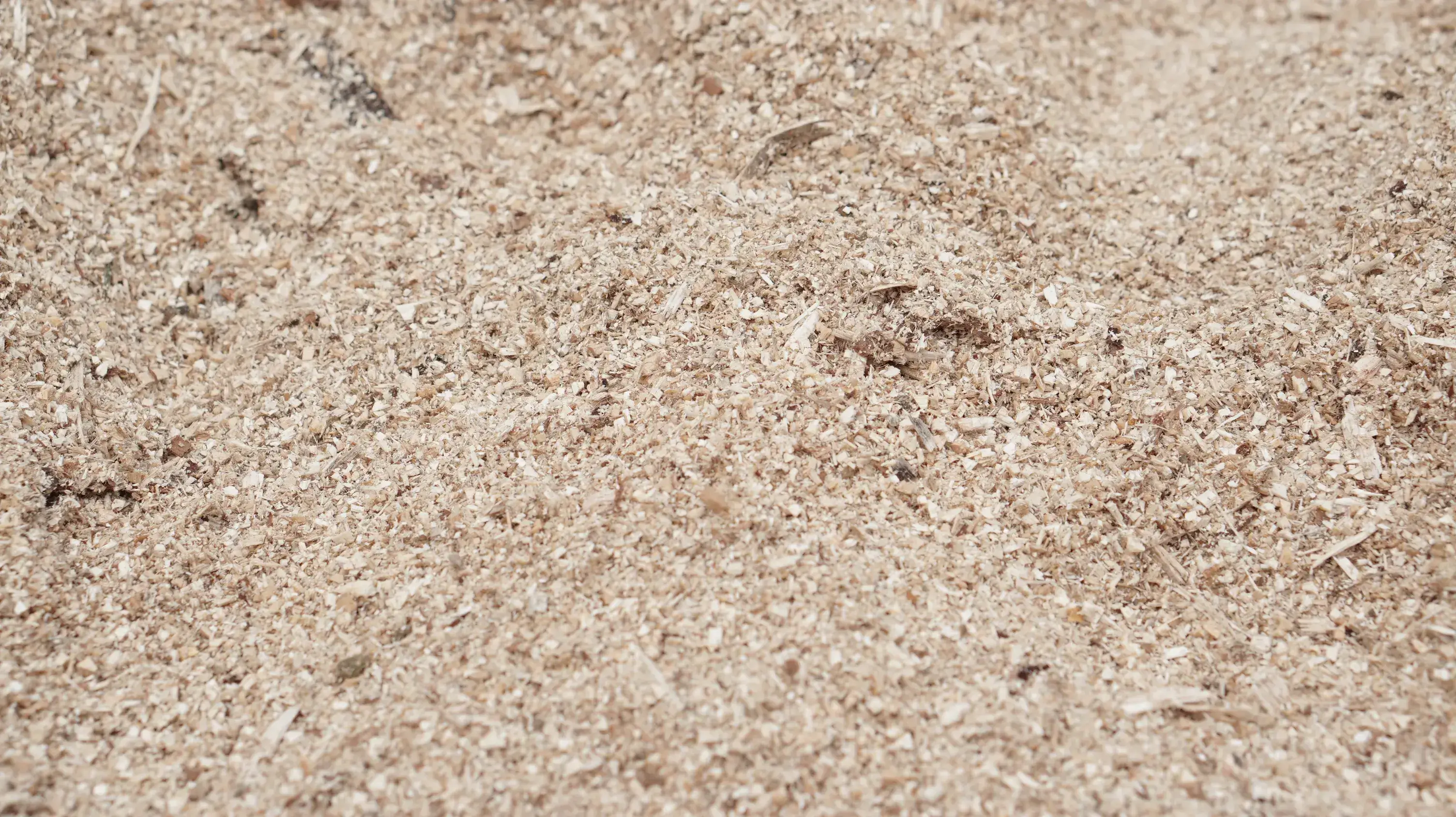 Sawdust