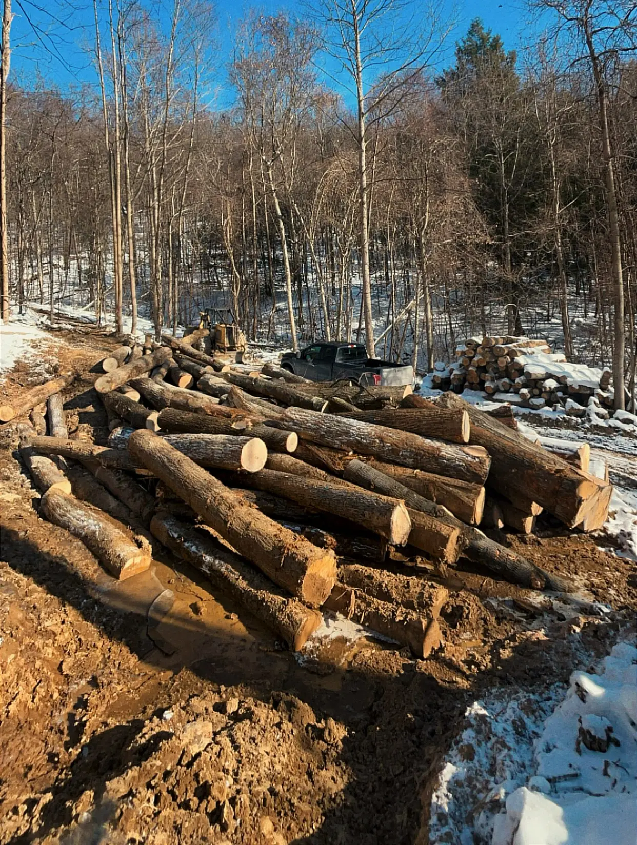Sustainable harvesting operations