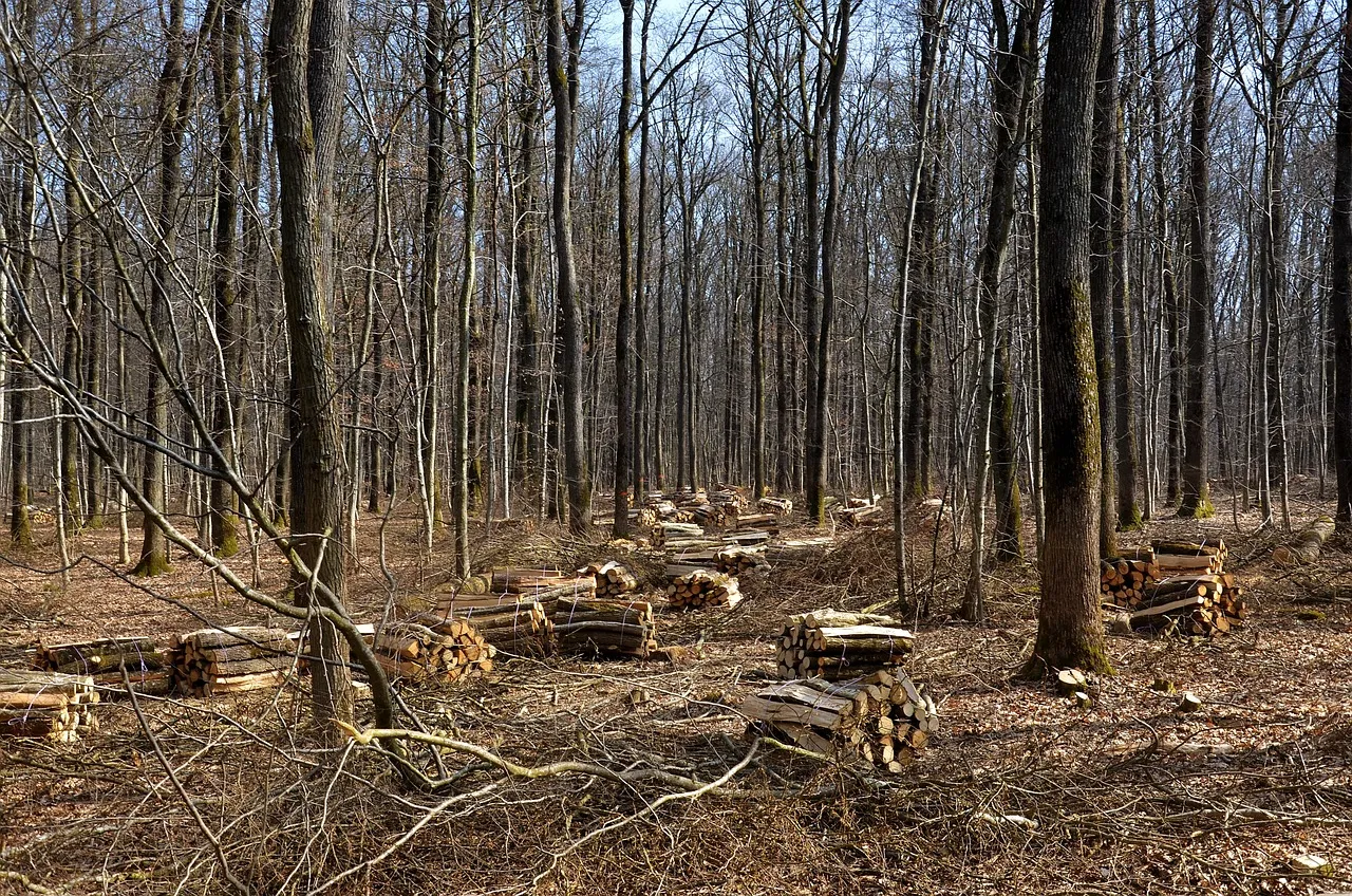 Sustainable harvesting operations