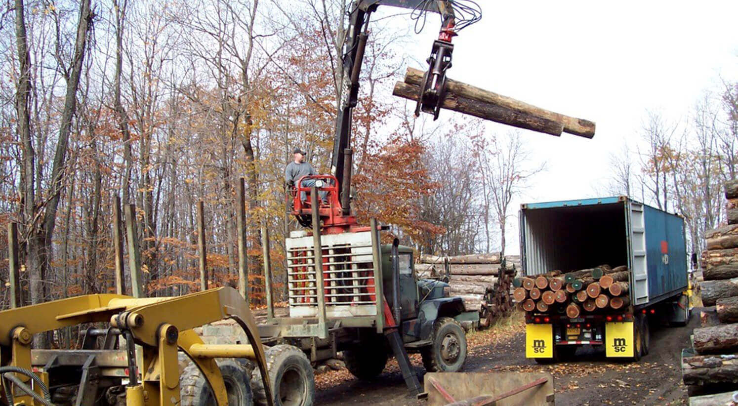 WBL Hardwoods